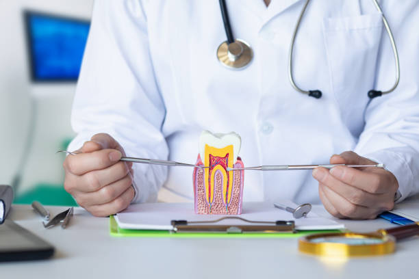 Best Mobile Emergency Dentist in Suquamish, WA